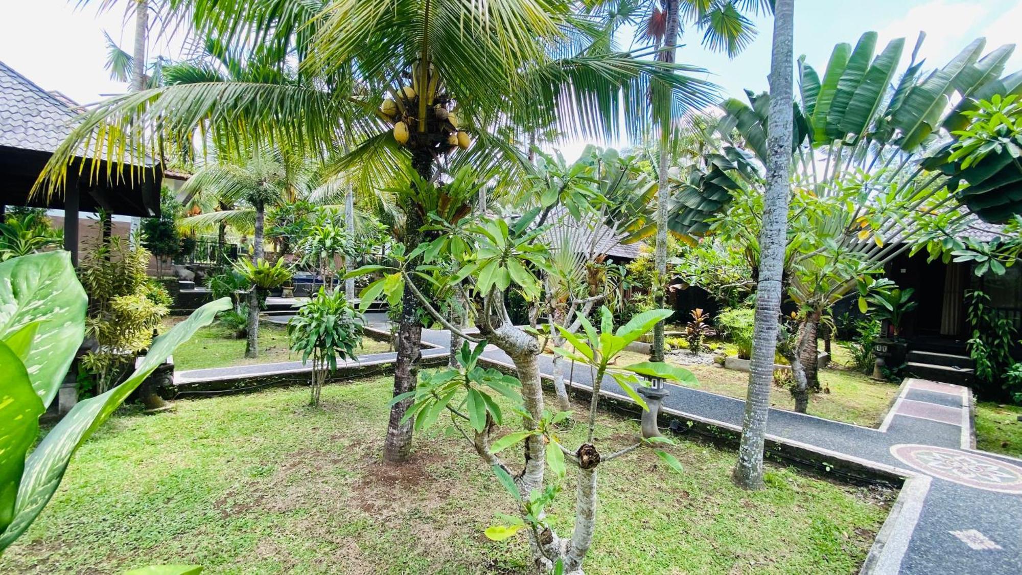 Dong Loka Guesthouse Bali Carangsari Dış mekan fotoğraf