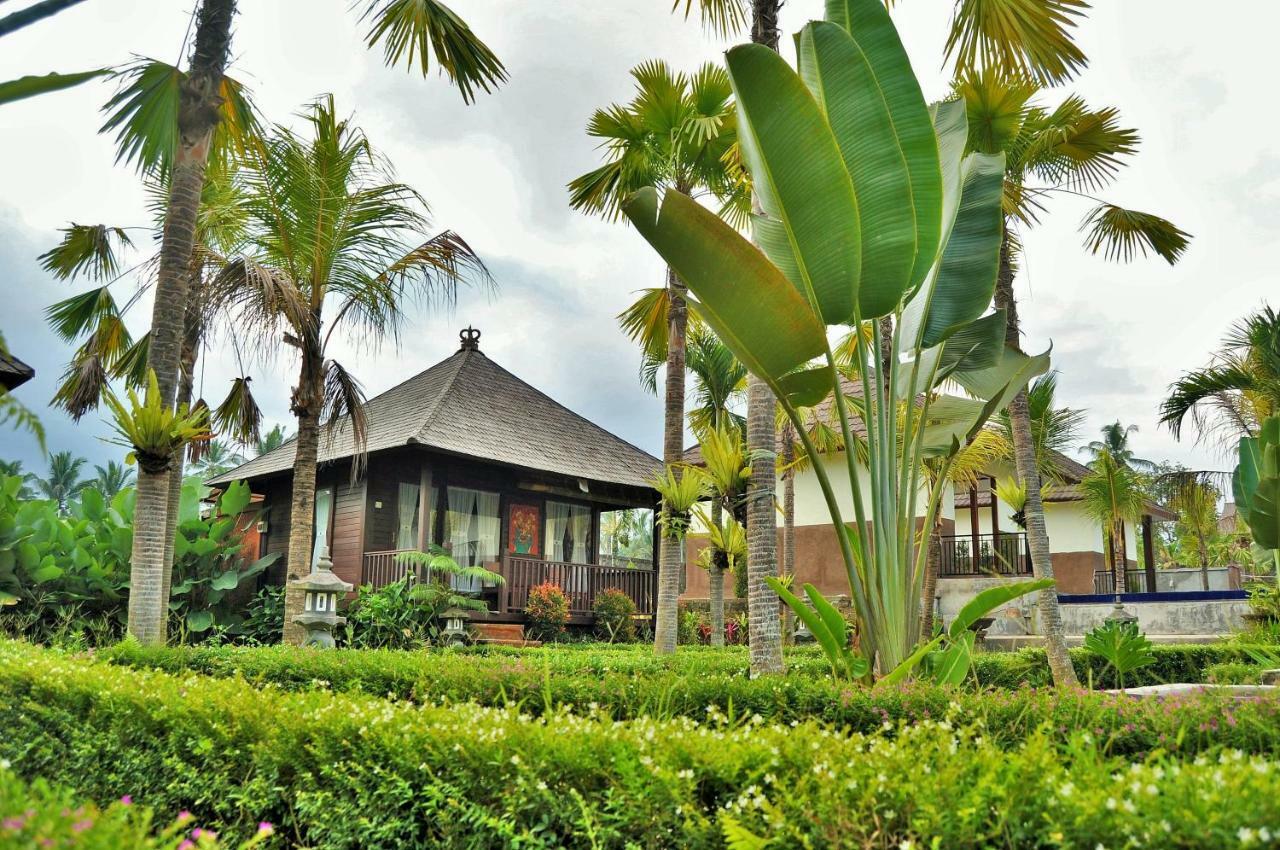 Dong Loka Guesthouse Bali Carangsari Dış mekan fotoğraf